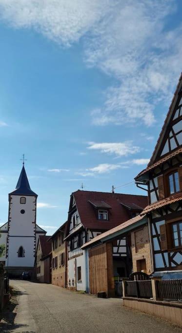 Alsace Bas-Rhin Logis Independant Avec Piscine Privee Apartment Alteckendorf Luaran gambar